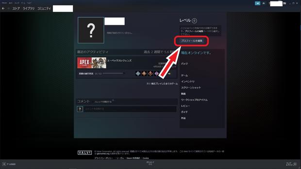 Steamプロフィール編集