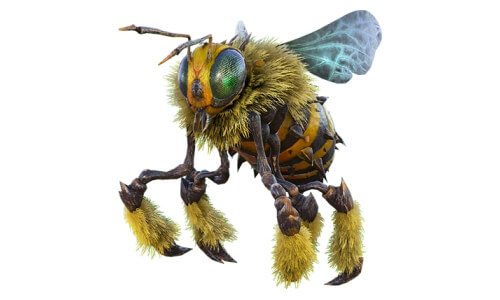 イキオオミツバチ